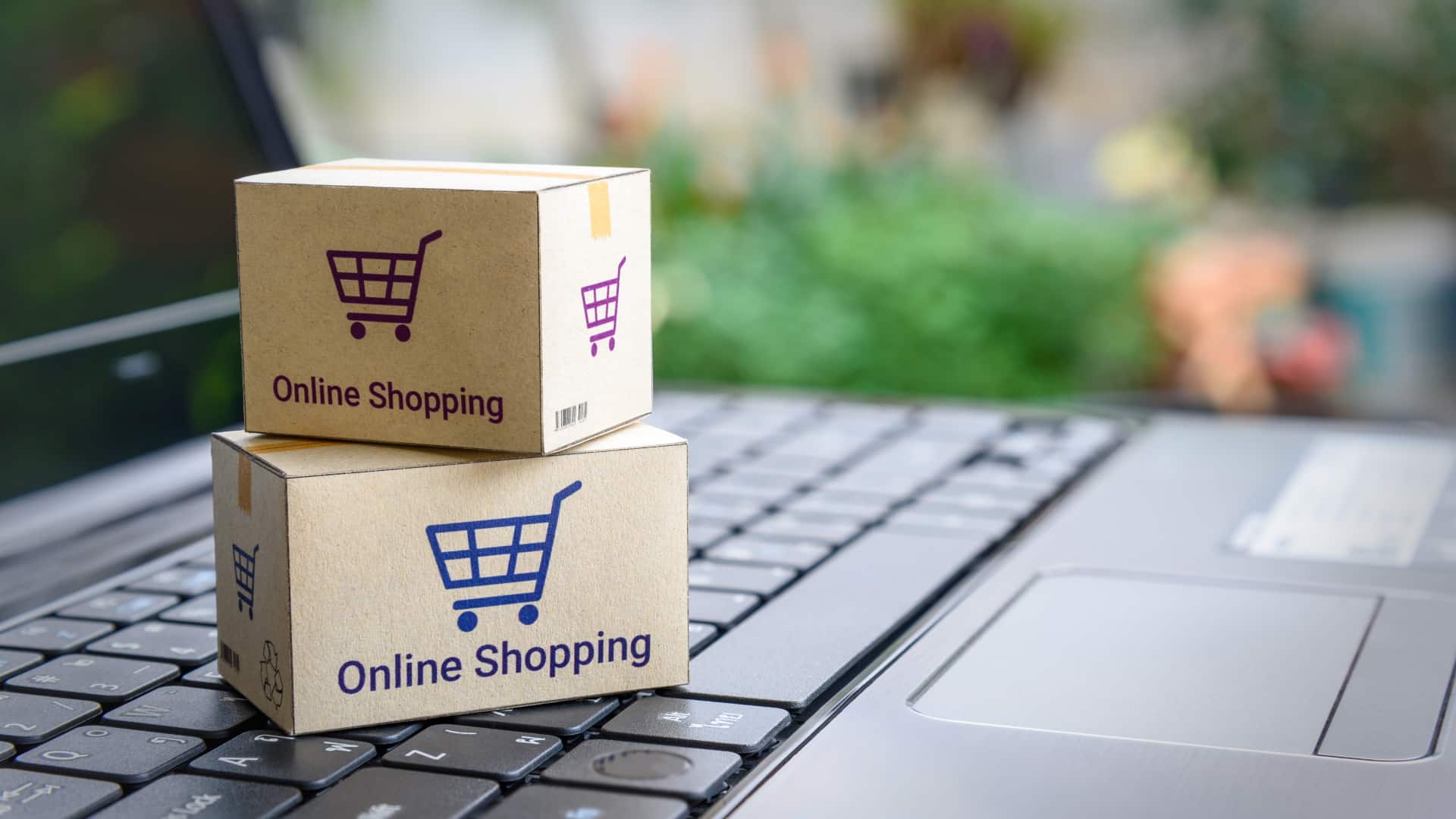 Onlineshop Shopware Calysto Marketing Solutions